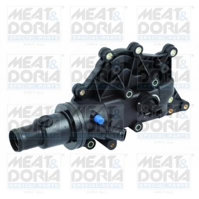 Thermostat, coolant